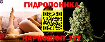 индика Жуковский