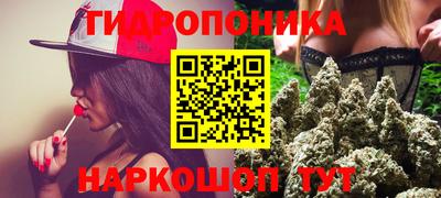 индика Жуковский