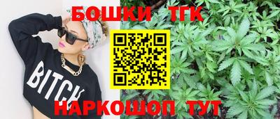 индика Жуковский